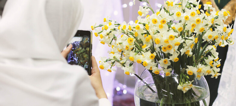 سپیدهدمِ ظهور