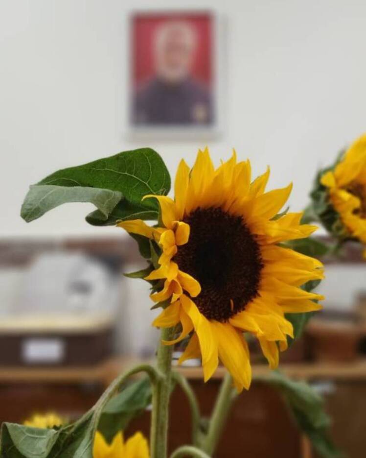 صد روز زیر آسمانِ بیتو